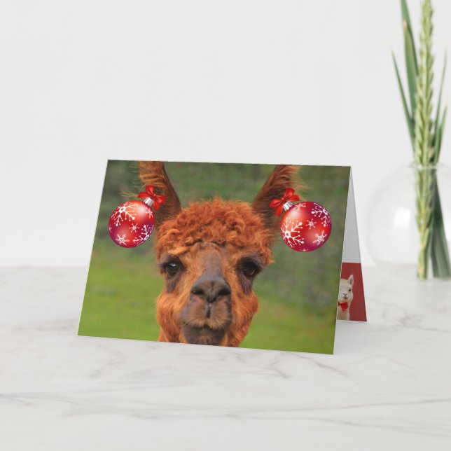 Cartes Pour Fêtes Annuelles Llamas Love Christmas (Devant)