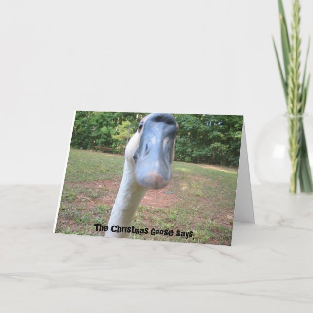 Cartes Pour Fêtes Annuelles L'Oie de Noël dit : (Devant)
