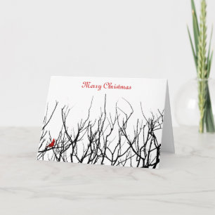 Cartes Pour Fêtes Annuelles L'Oiseau Rouge de Leslie Peppers