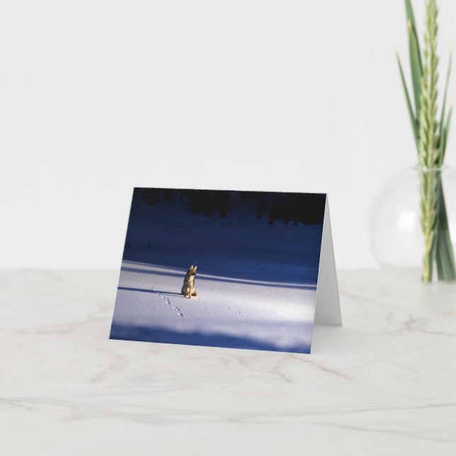 Cartes Pour Fêtes Annuelles Lone Coyote dans le parc national Yellowstone, Nei (Devant)