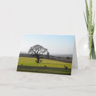 Cartes Pour Fêtes Annuelles Longues ombres en automne Somerset