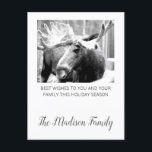 Cartes Pour Fêtes Annuelles L'orignal en hiver Salutation de Noël<br><div class="desc">Moose en photo de neige Noël salutation de Noël avec votre nom de famille ajouté dans une typographie à la mode scénario. Personnalisez avec votre nom de famille.</div>