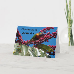 Cartes Pour Fêtes Annuelles Lorikeet chargeant, Noël, l'Australie