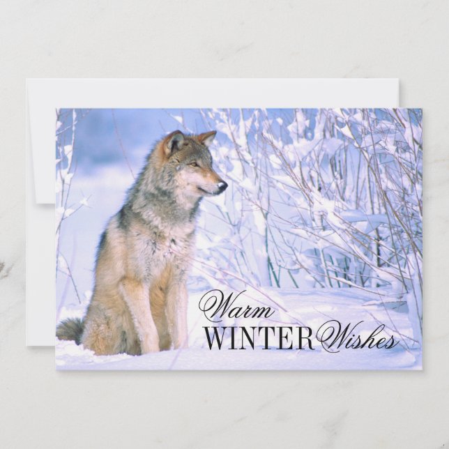 Cartes Pour Fêtes Annuelles Loup de bois assis dans la neige (Devant)