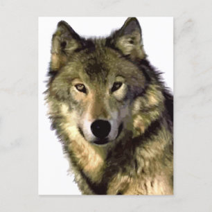 Cartes Pour Fêtes Annuelles Loup gris