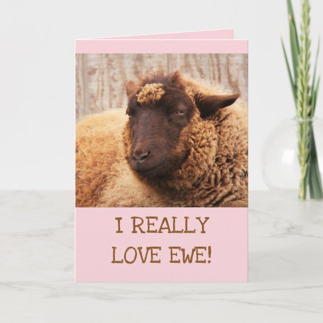 Cartes Pour Fêtes Annuelles LOVE EWE Sheep Valentine's Day (Devant)
