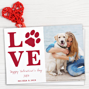 Cartes Pour Fêtes Annuelles Love Valentines Day Pet Dog Photo