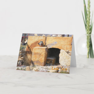 Cartes Pour Fêtes Annuelles Luc 24 : 6, Il est ressuscité