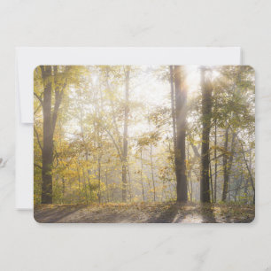 Cartes Pour Fêtes Annuelles Lumière dorée du soleil à travers les arbres d'aut