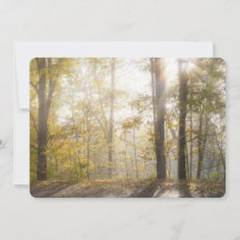 Lumière dorée du soleil à travers les arbres d'aut