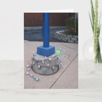 Lumière-Ficelage de Sluggo