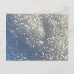 Cartes Pour Fêtes Annuelles Lumière solaire en cristal de neige