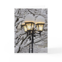 Lumière sur le chemin