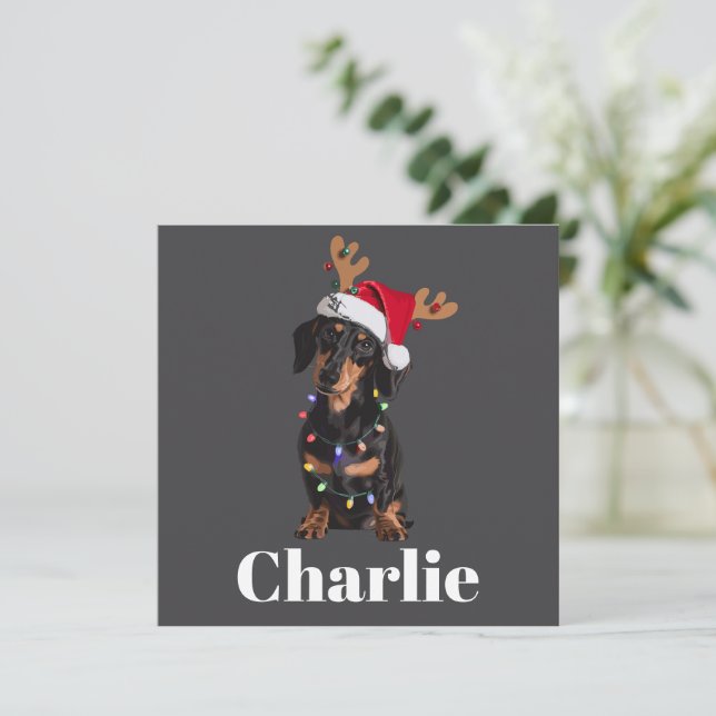 Cartes Pour Fêtes Annuelles Lumières de chien de Dachshund de Noël nom personn (Debout devant)