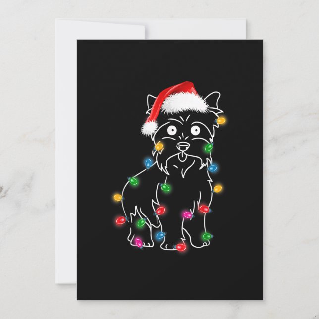 Cartes Pour Fêtes Annuelles Lumières de chien de Terrier Cairn Noël Correspond (Devant)