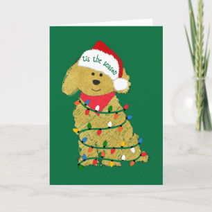 Cartes Pour Fêtes Annuelles Lumières de Noël personnalisées Goldendoodle