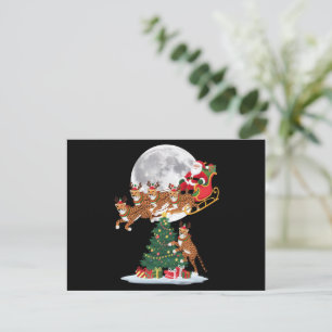 Cartes Pour Fêtes Annuelles Lumières de sapin de Noël Funny Santa chevauchant 