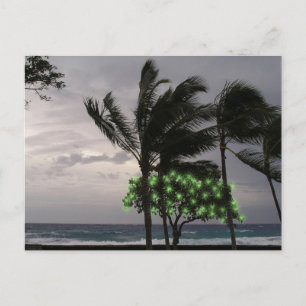 Cartes Pour Fêtes Annuelles Lumières de vacances sur les palmiers