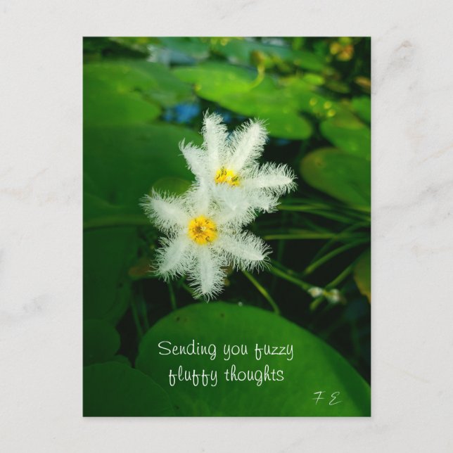 Cartes Pour Fêtes Annuelles lys blancs (Devant)