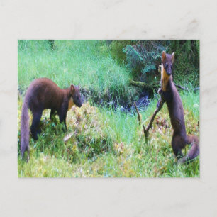 Cartes Pour Fêtes Annuelles M. et Mme Pine Marten Date Nuit