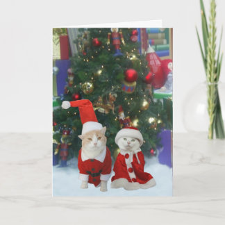 Cartes Pour Fêtes Annuelles M. & Mme Kitty Claws