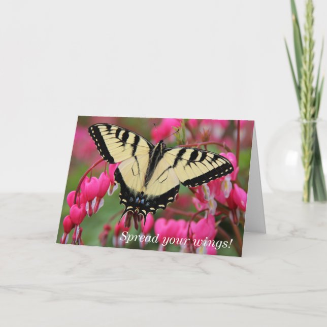 Cartes Pour Fêtes Annuelles Machaon oriental (Devant)