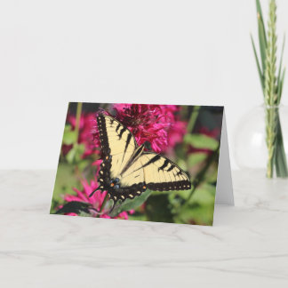 Cartes Pour Fêtes Annuelles Machaon oriental de tigre sur le baume d'abeille