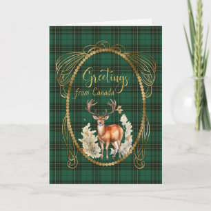 Cartes Pour Fêtes Annuelles MacLean Chasse Tartan écossais Salutations
