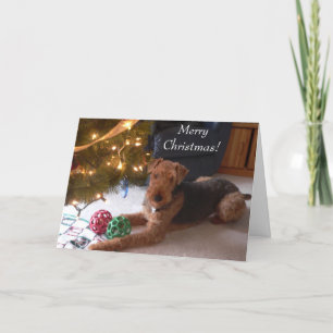 Cartes Pour Fêtes Annuelles Maddie dit, "Joyeux Noël ! "