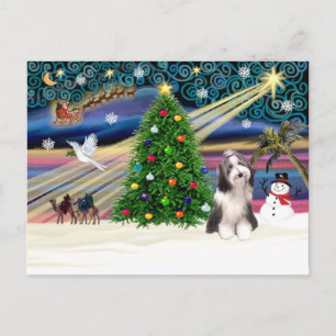 Cartes Pour Fêtes Annuelles Magic-Beardie4