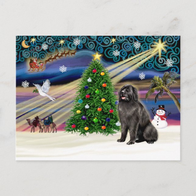 Cartes Pour Fêtes Annuelles Magic-Newfie de Noël (Devant)