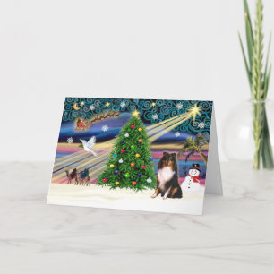 Cartes Pour Fêtes Annuelles Magic-SHELTIE-Tri de Noël
