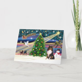 Cartes Pour Fêtes Annuelles Magic-SHELTIE-Tri de Noël