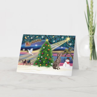 Cartes Pour Fêtes Annuelles Magic Weimaraner de Noël