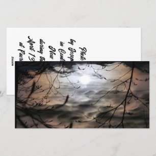 Cartes Pour Fêtes Annuelles Magickal Moonscape (vide à l'intérieur)