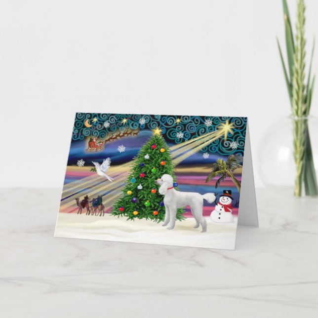 Cartes Pour Fêtes Annuelles Magie de Noël-Caniche-Std-Blc (Devant)
