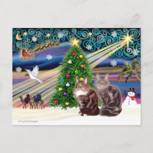 Cartes Pour Fêtes Annuelles Magie de Noël - Deux chats de Maine Coon