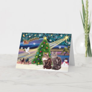 Cartes Pour Fêtes Annuelles Magie de Noël - Deux chats Maine Coon
