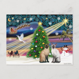 Cartes Pour Fêtes Annuelles Magie de Noël - Deux chats siamois (Seal + Choc)