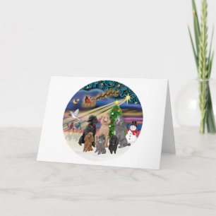 Cartes Pour Fêtes Annuelles Magie de Noël (R) - 6 Poodles Standards