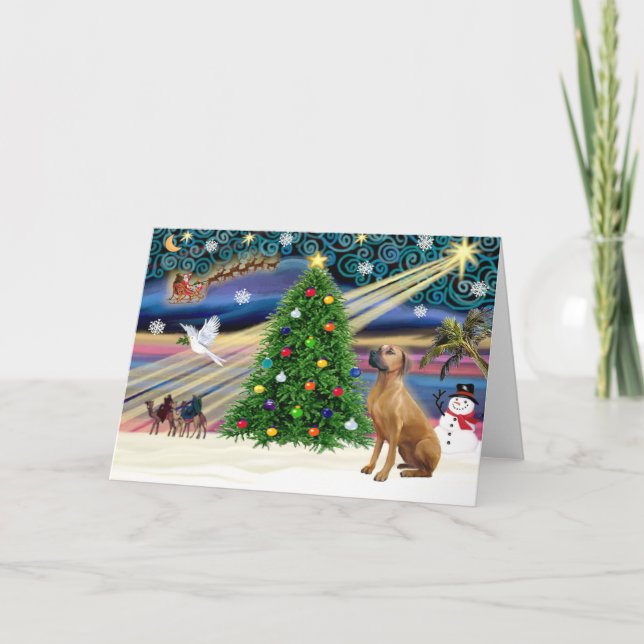 Cartes Pour Fêtes Annuelles Magie de Noël Rhodesian Ridgeback 1 (Devant)