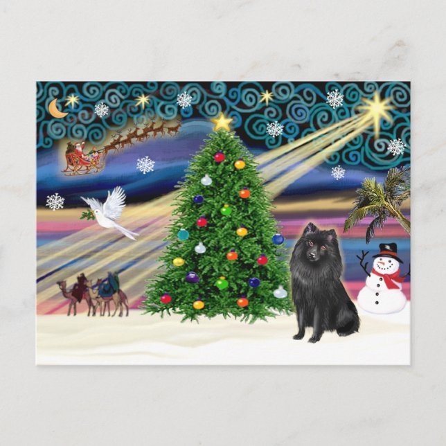 Cartes Pour Fêtes Annuelles Magie de Noël Schipperke (Devant)