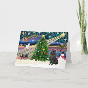 Cartes Pour Fêtes Annuelles Magie de Noël Schipperke
