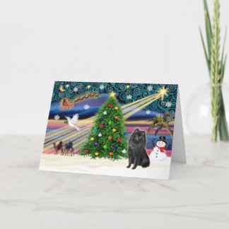 Cartes Pour Fêtes Annuelles Magie de Noël-Schipperke