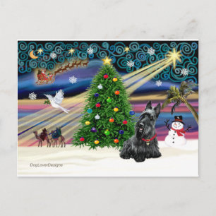 Cartes Pour Fêtes Annuelles MAGIE DE NOËL-Scottie2B