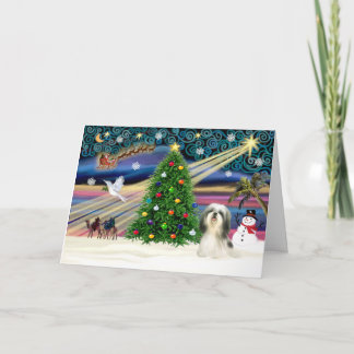 Cartes Pour Fêtes Annuelles Magie de Noël/Tzu chiite #4