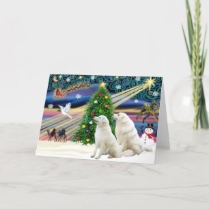 Cartes Pour Fêtes Annuelles Magique de Noël Kuvasz (deux)