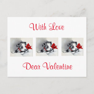 Cartes Pour Fêtes Annuelles Magnifique chiot Boston Terrier vintage