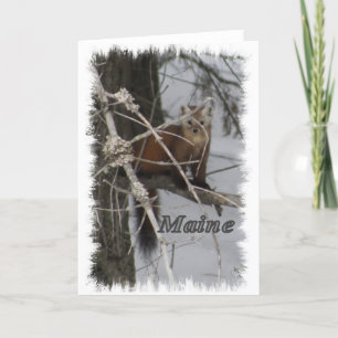 Cartes Pour Fêtes Annuelles Maine Wildlife - Pine Marten