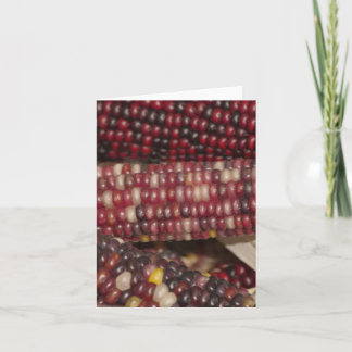 Cartes Pour Fêtes Annuelles Maïs varié